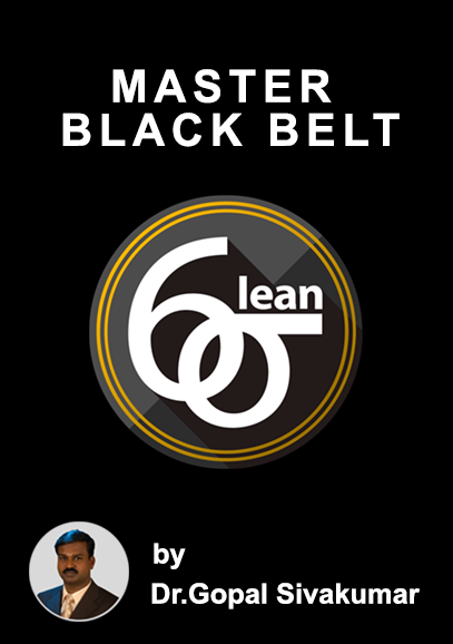 LEAN SIX SIGMA MASTER BLACK BELT
